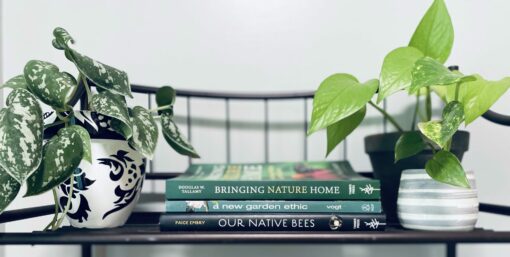 Sustainability resources books on a shelf