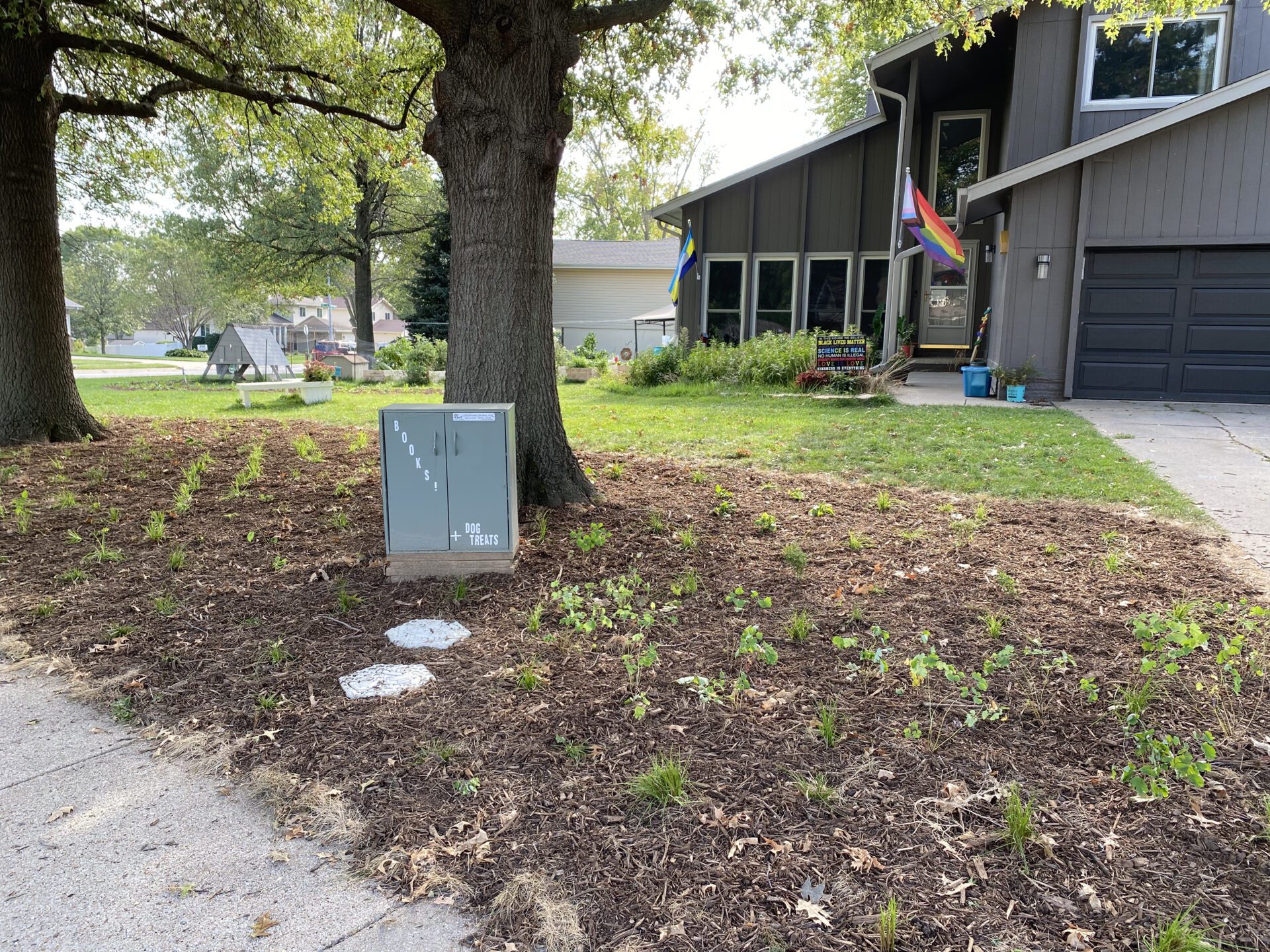 Native Garden Plants