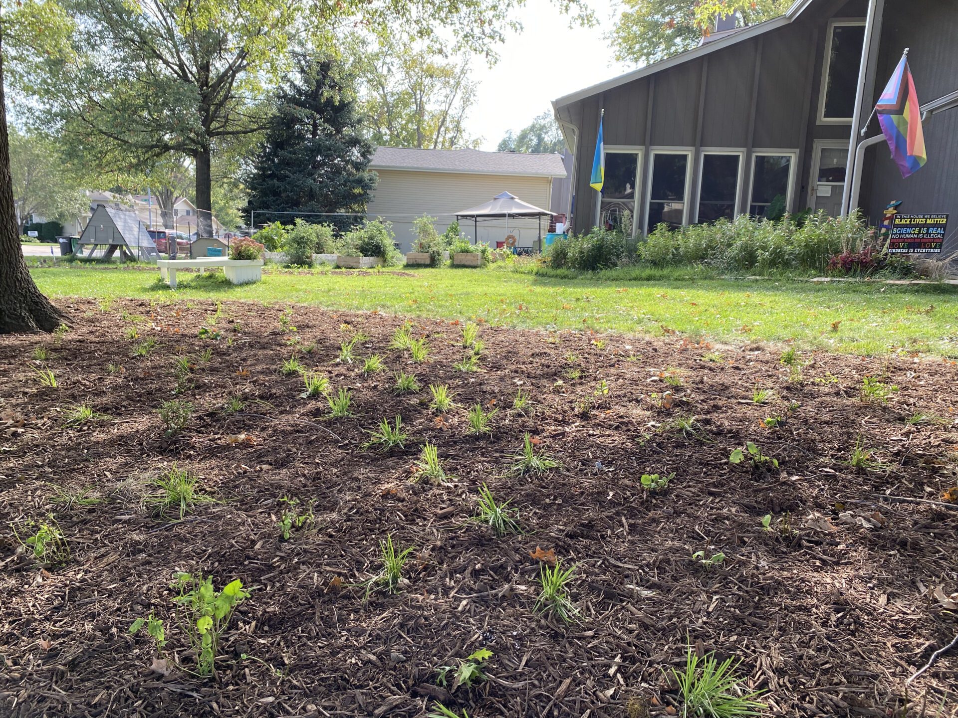 Native Garden Plants