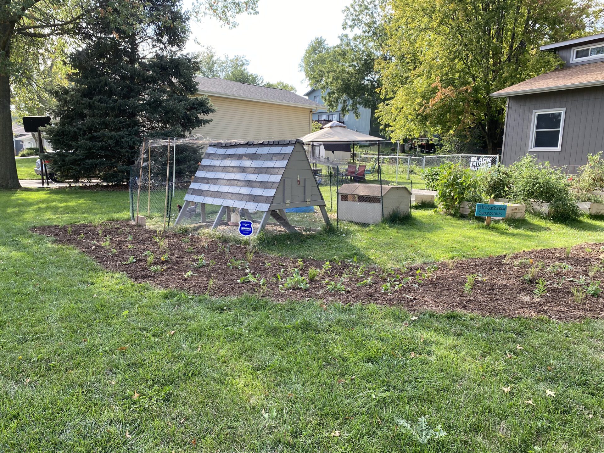 Native Garden Plants