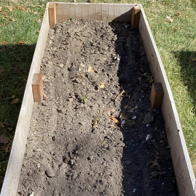 How To Use Leaf Litter: Winterizing Raised Garden Beds