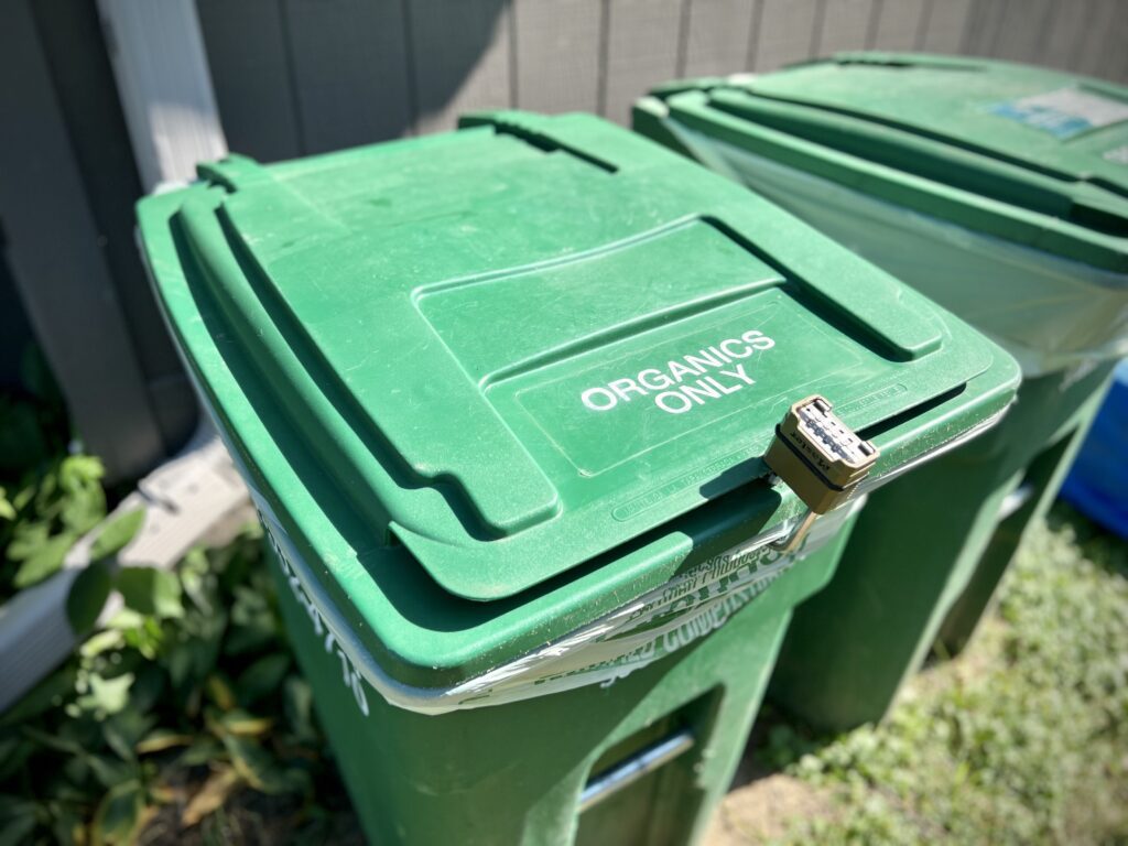 green compost bins